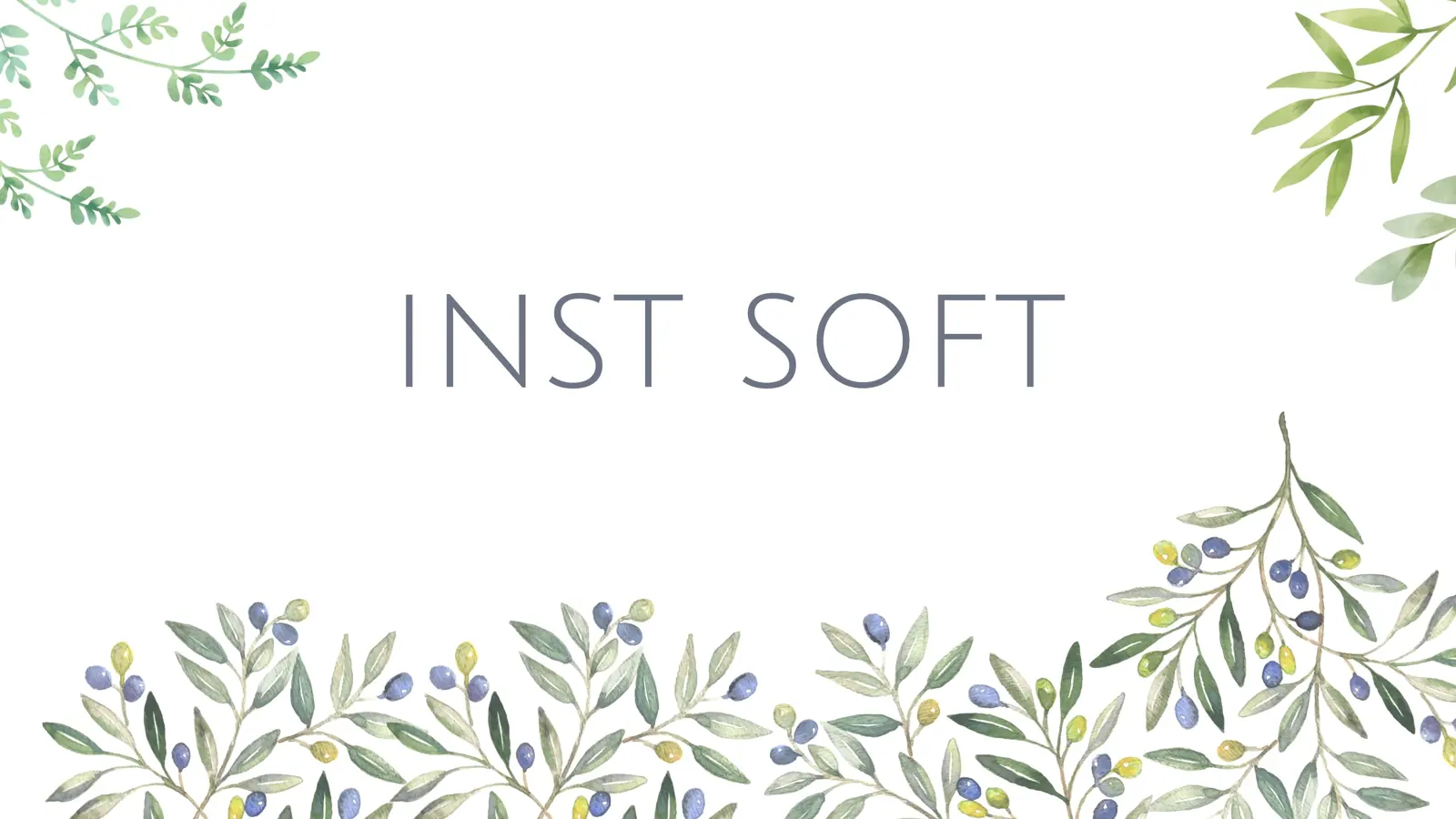 InstSoft watercolor developer header
